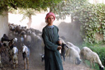 Pasterz kz z Sakkary; Autor: Maricn Malinowski